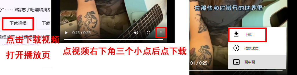 电脑下载抖音去水印视频